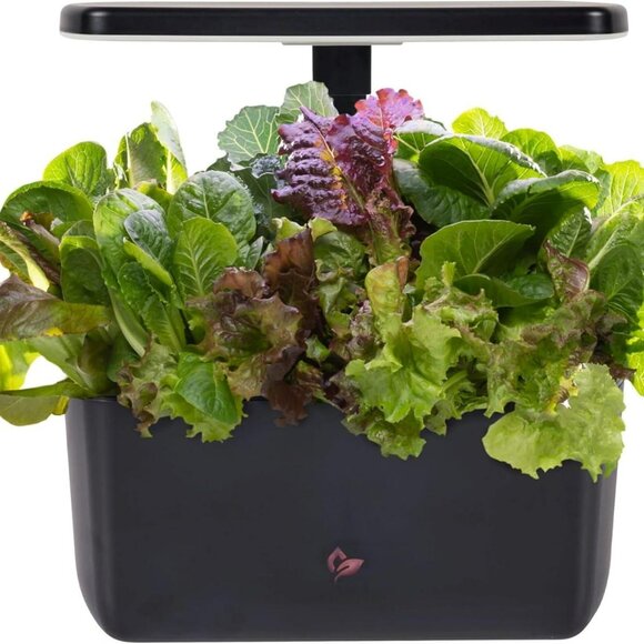 AeroGarden Harvest 2.0, Indoor Garden Hydroponic System with LED Grow Li… - Picture 1 of 4
